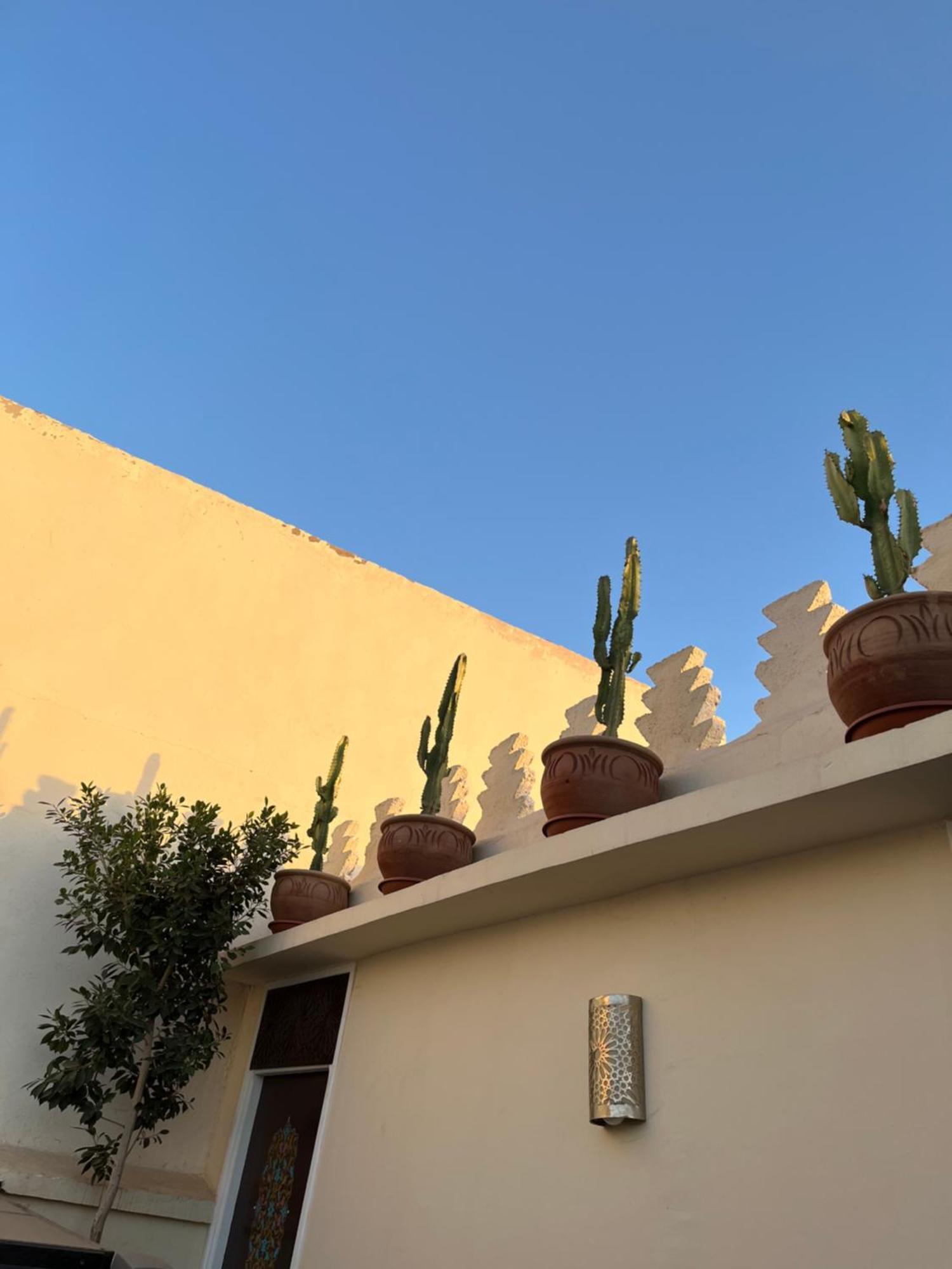 Riad Julilu Privatise مراكش المظهر الخارجي الصورة